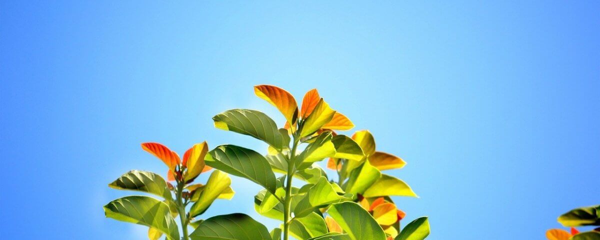 there will come one day