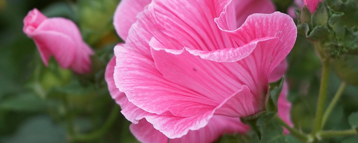 when i come round to call