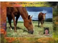 template-ns_clip_image004