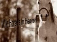 template-ns_clip_image007