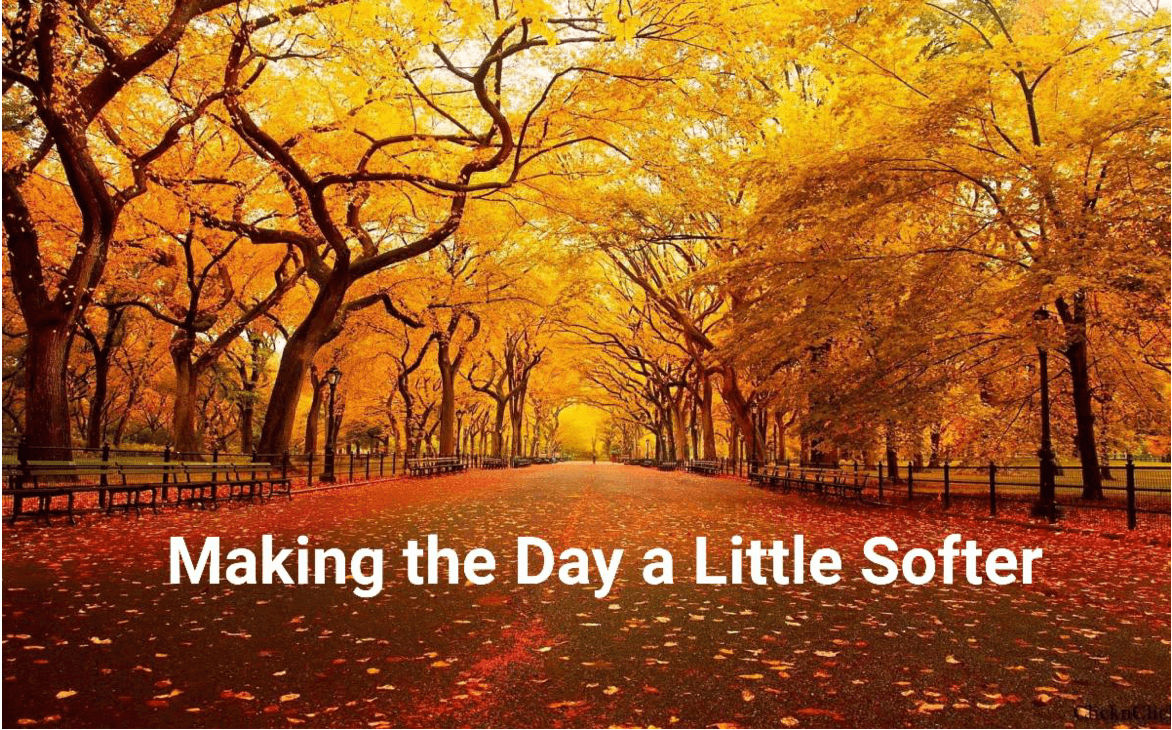 Screenshot 2022-12-16 at 35335 PM