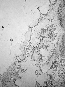 Tears shed on the death